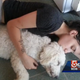 Illustration for article titled Boston Bombing Survivor Kicked Out of TJ Maxx Over Service Dog